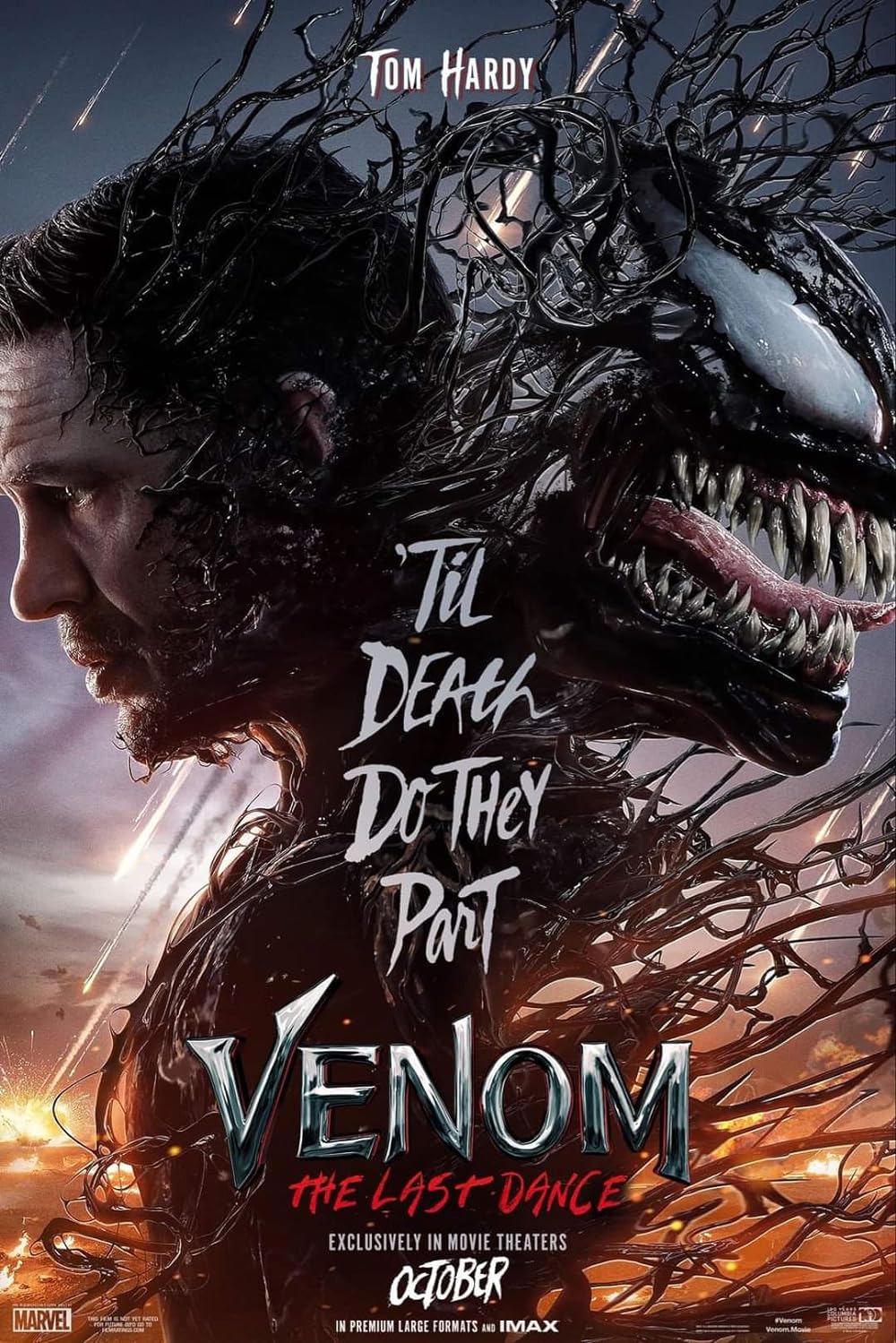 ดูหนังออนไลน์ Venom The Last Dance เวน่อม มหาศึกอสูรอหังการ (2024)